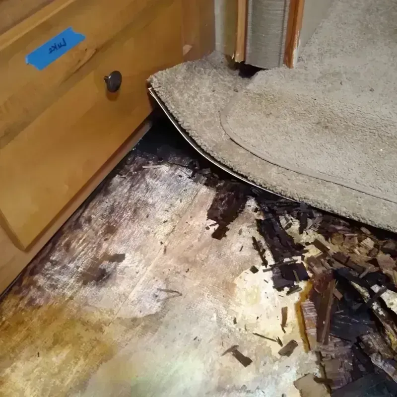 Wood Floor Water Damage in Pierre, SD